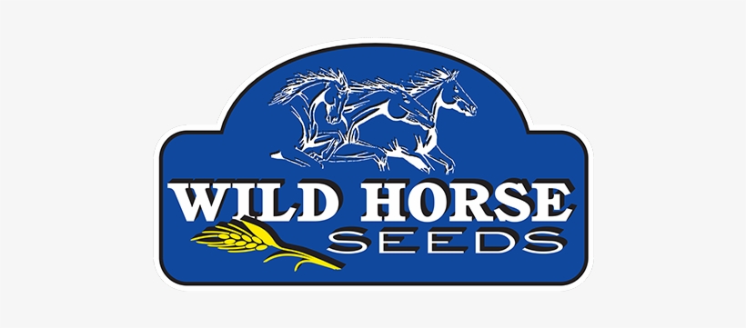 Wildhorse Seeds, transparent png #3990443