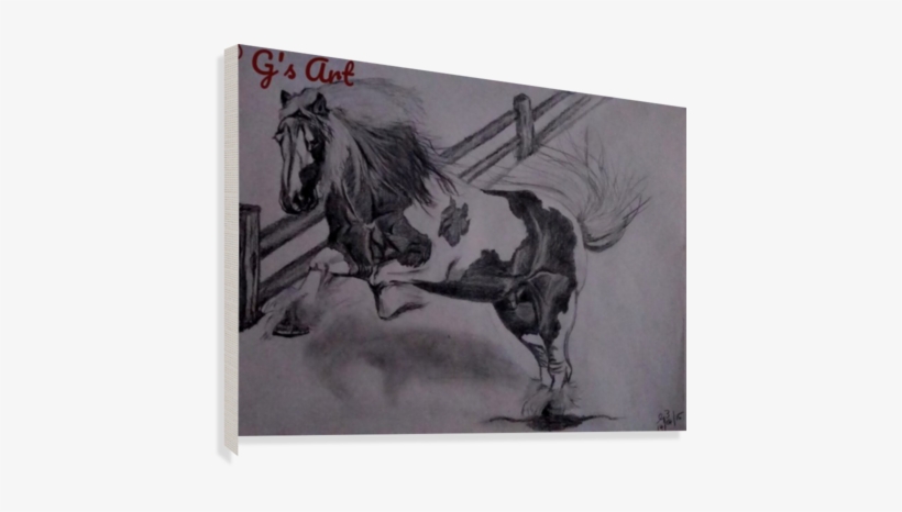 Wild Horse Canvas Print - Stallion, transparent png #3990474