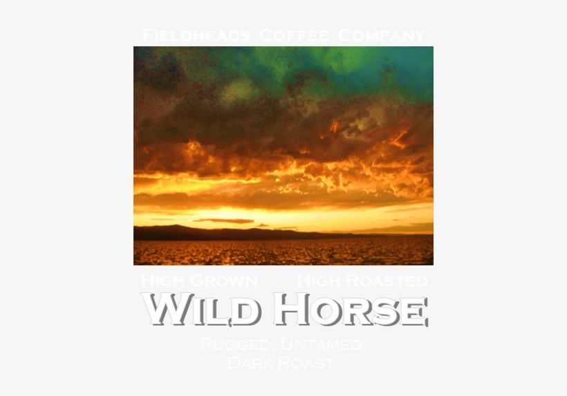 Wild Horse Blend Coffee - Poster, transparent png #3990531
