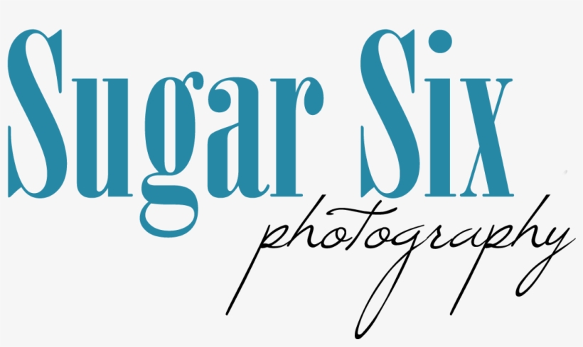 Sugar Six Alaska Wedding Photographer And Portrait - Sugar!!, transparent png #3990901