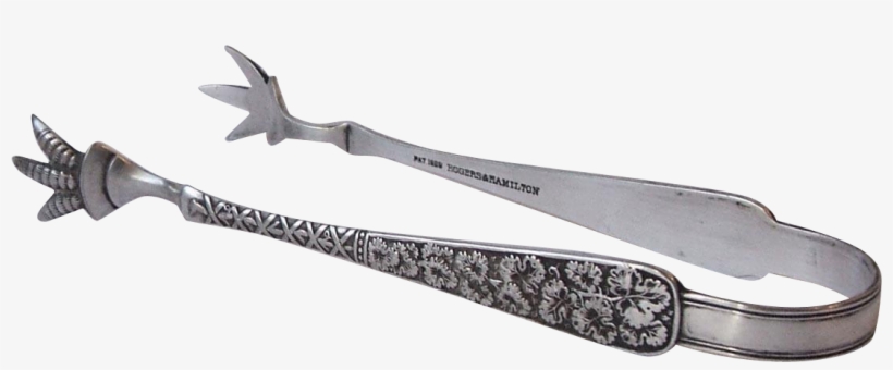 Rogers And Hamilton 1888 Berkshire Silverplate Sugar - Blade, transparent png #3991185