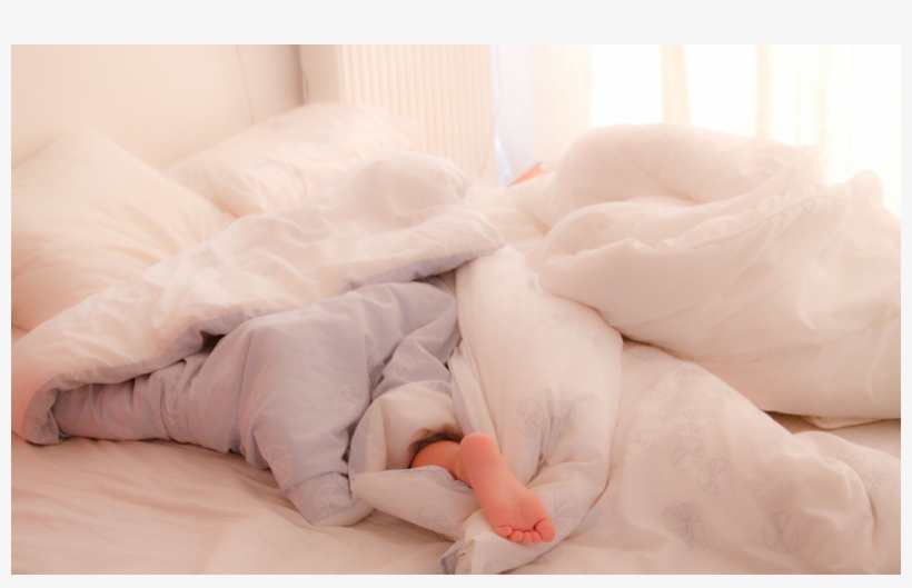 Cute Birds Animated Best Bird - Bed, transparent png #3991831