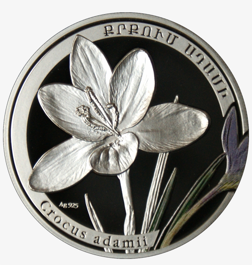 Am 1000 Dram Ag 2011 Crocus B - Silver, transparent png #3991895