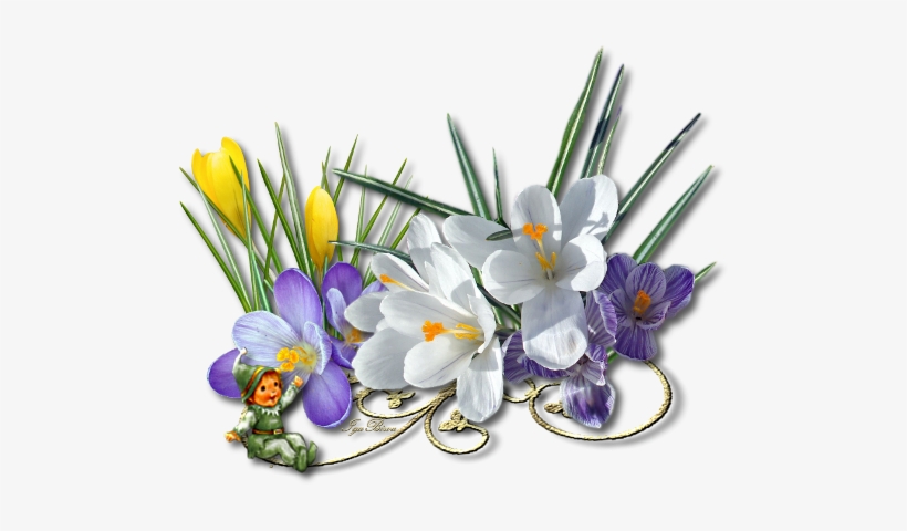 2015 03 06 Separateur Crocus - Centerblog Fr Perceneige Png, transparent png #3991951