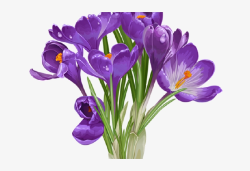 Clipart Of Beautiful Plants, transparent png #3991983