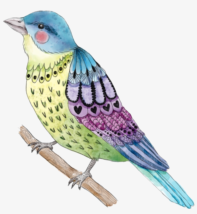 Painted Cute Bird Png Transparent - Bird, transparent png #3992076
