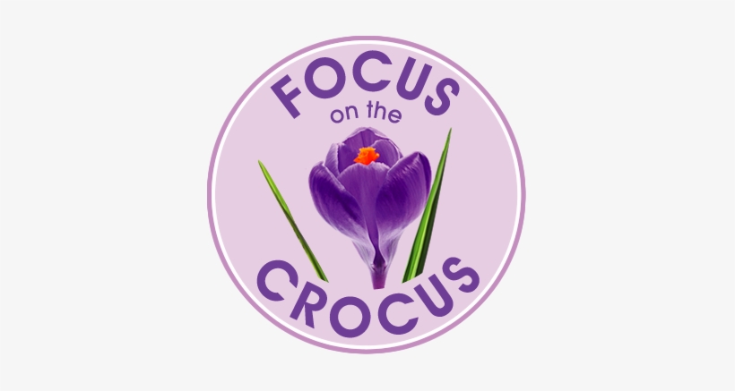 Focus On The Crocus - Crocus, transparent png #3992251