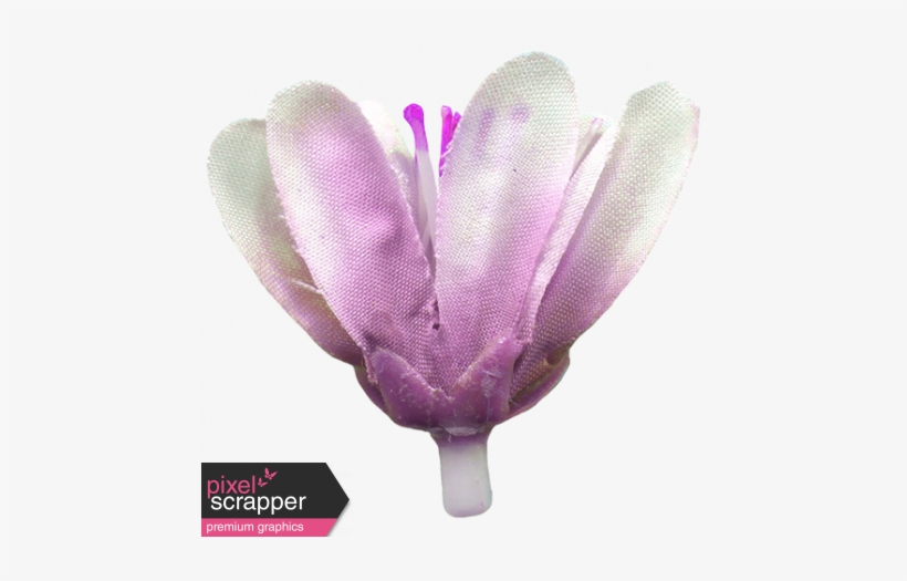 Jolly Neutral - Silk Crocus - Digital Scrapbooking, transparent png #3992402