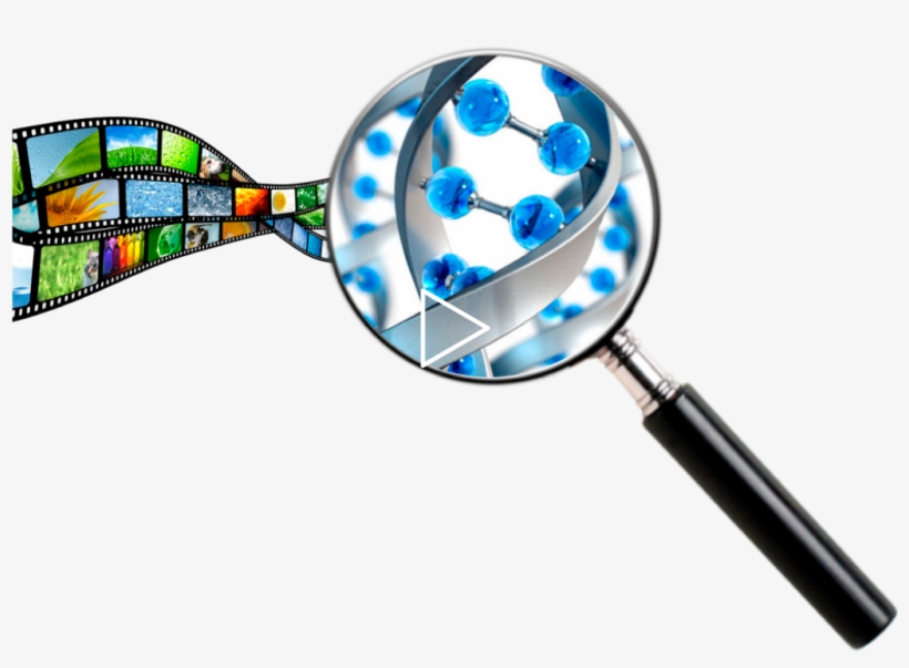 Adn-loupe - Portable Network Graphics, transparent png #3992995