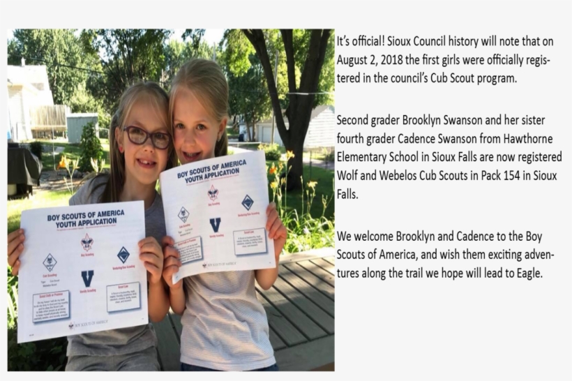 Internet Rechartering - Tree, transparent png #3993179