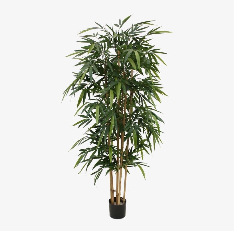 The Bestseller Amoung Our Artificial Trees In A Very - Parlor Palm Tree, transparent png #3993287