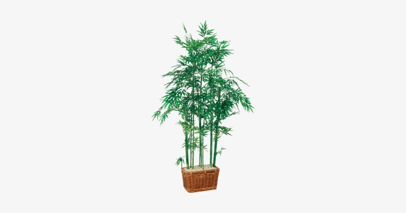 Silk Bamboo Tree In Rectangle Basket - Nearly Natural 5294 Bamboo Silk Tree, transparent png #3993646