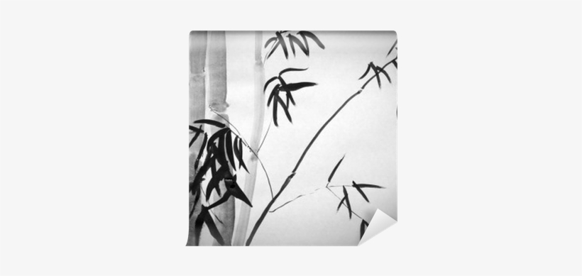 Bamboo Photography, transparent png #3993651