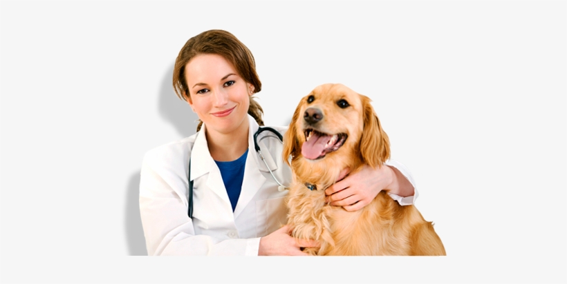 About Vets Choice D - Vet S, transparent png #3993780