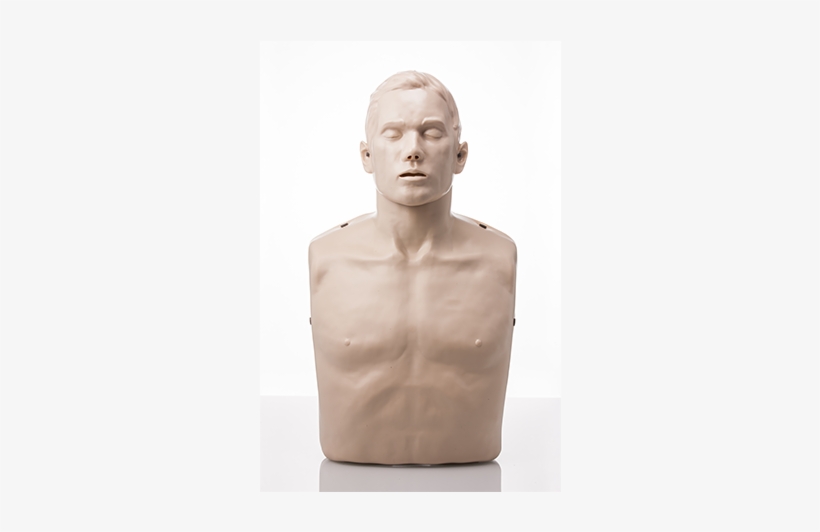 Brayden Cpr Manikin - Brayden Cpr Manikin Basic, transparent png #3993832