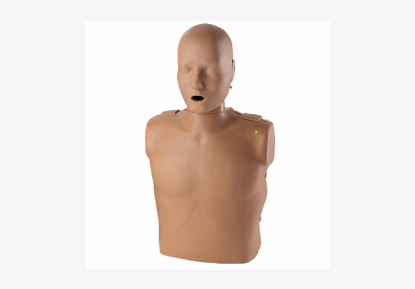 Prestan Adult Manikin W/ Monitor - Prestan Professional Adult Manikins, transparent png #3993838