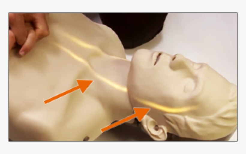 Manikin Brayden Cpr Training Equipment - Art, transparent png #3993947