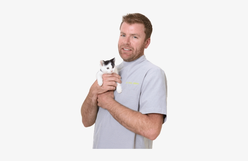Why Choose Peninsula Vet Care - Dromana, transparent png #3993976
