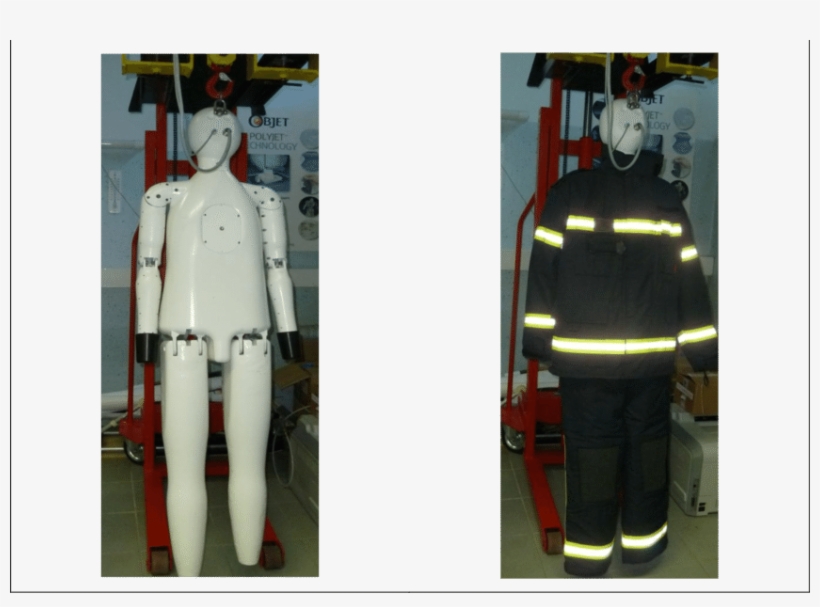 Naked And Dressed Thermal Manikin - Mannequin, transparent png #3994064