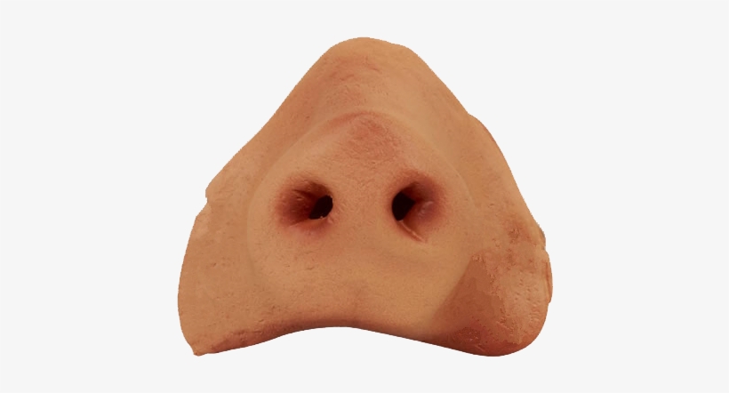 Nose Png Photo - Pig Nose Png, transparent png #3994183