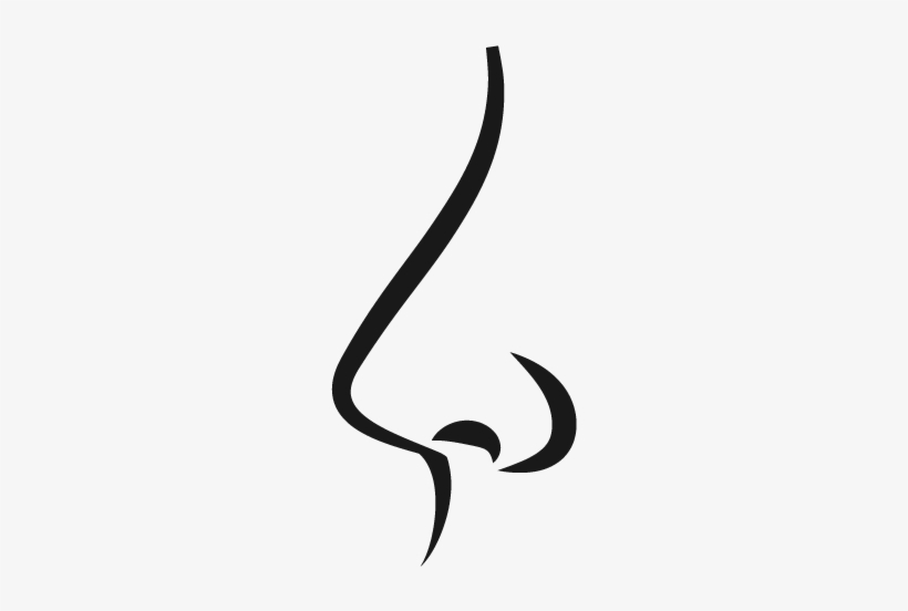 Nose/ - Calligraphy, transparent png #3994313