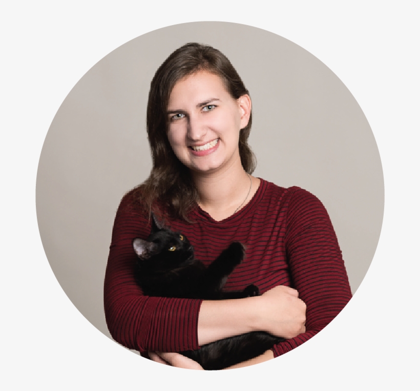 Marina Blvd Vet River North Chicago - Chicago, transparent png #3994409