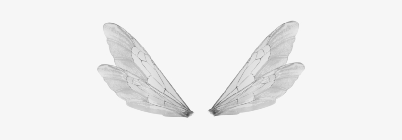 Overlay, Transparent, And Tumblr Image - Male Fairy Wings Png, transparent png #3994448