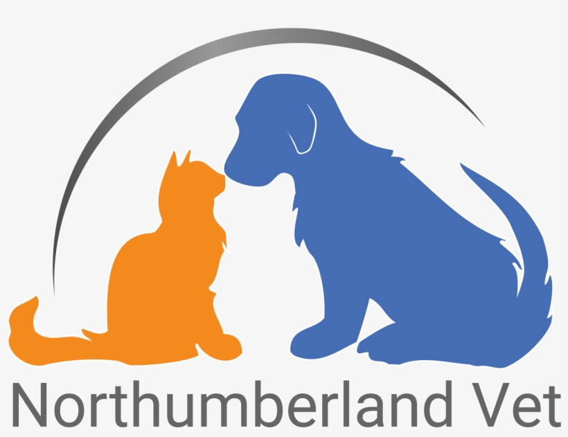 Northumberland Veterinary Services, transparent png #3994494