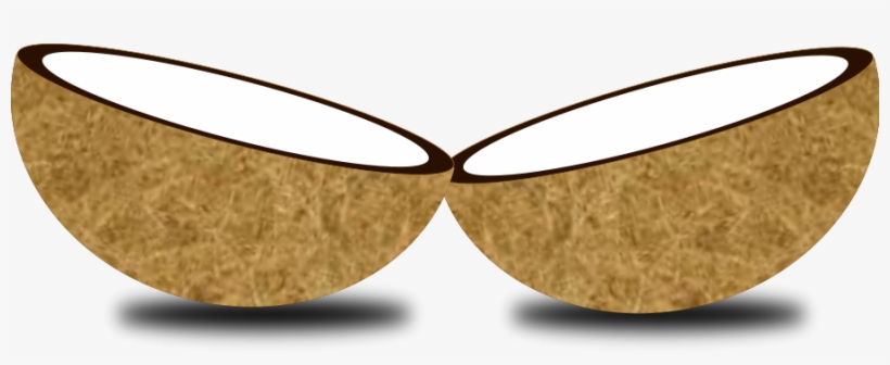 Coconut Cliparts Black - Coconut Shells Shower Curtain, transparent png #3994523