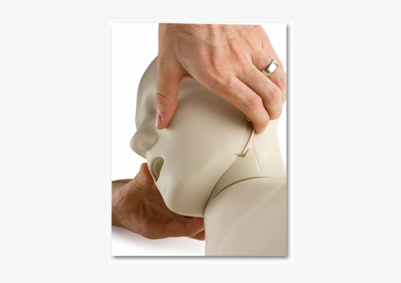 Prestan Ultralite Cpr Manikins 4-pack, transparent png #3994736