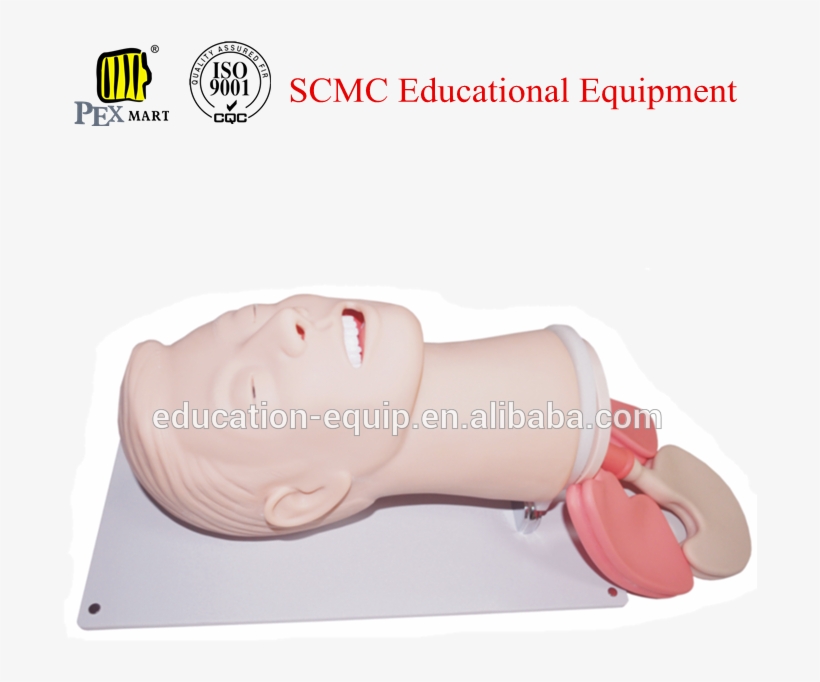 Airway Management, transparent png #3994878