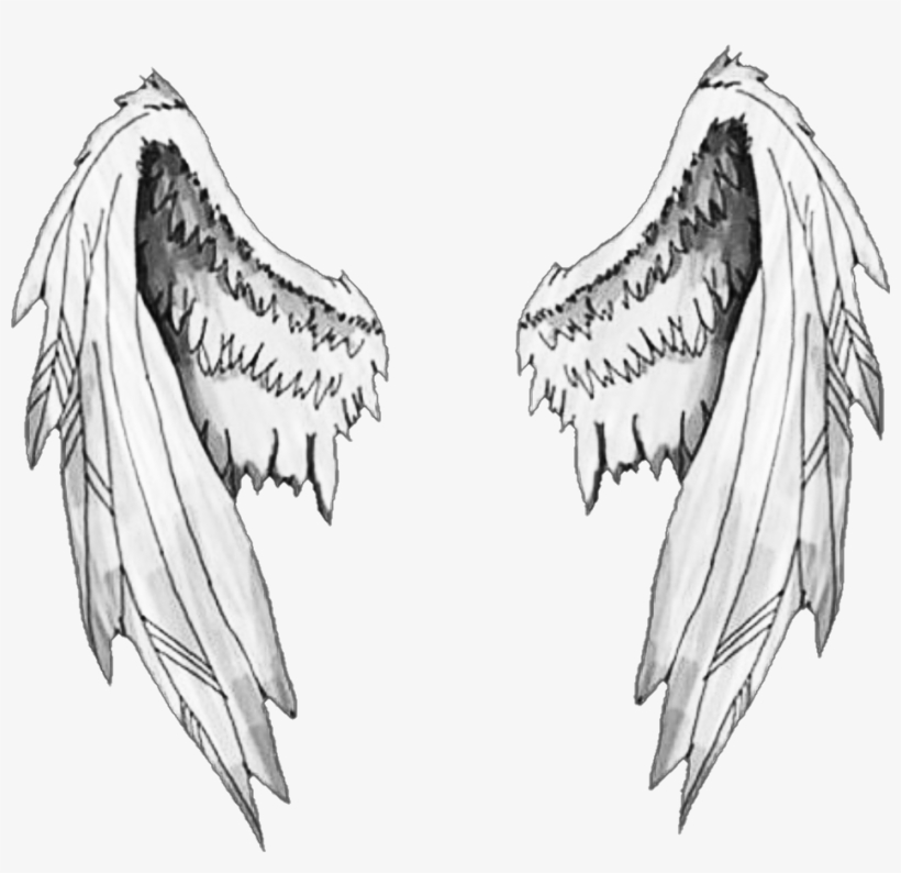 Angel Wings Drawing Tumblr Angel Wings Grievious On - Sticker For Picsart, transparent png #3995194