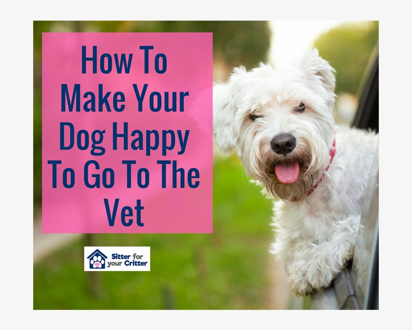 Do Dogs Stick Their Head Out, transparent png #3995391