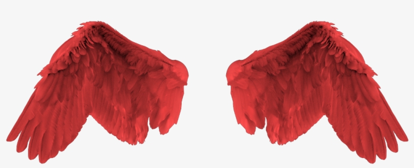 Red Angel Wing, transparent png #3995814