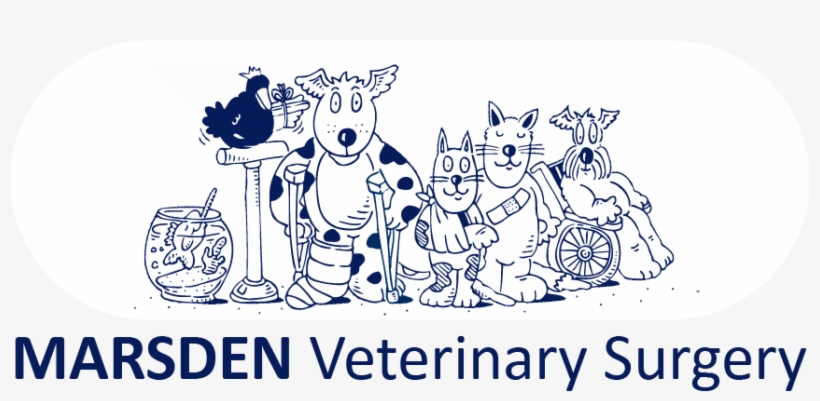 Jorvet Surgical Adhesive Tape 1, transparent png #3995908