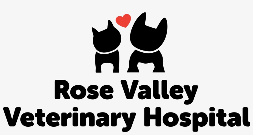 West Kelowna Vet Clinic - Summerland Animal Clinic, transparent png #3996016