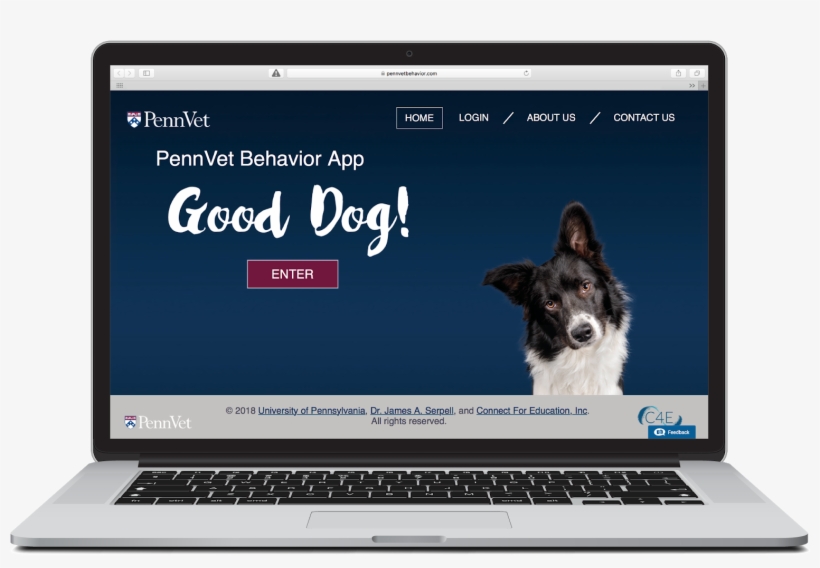 In Partnership With University Of Pennsylvania's School - Veterinary Physician, transparent png #3996020