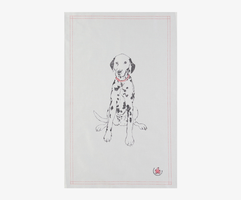 Dalmatian, transparent png #3998077