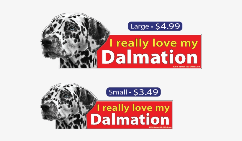 I Love My Dalmation - My Dalmation Journal [book], transparent png #3998233