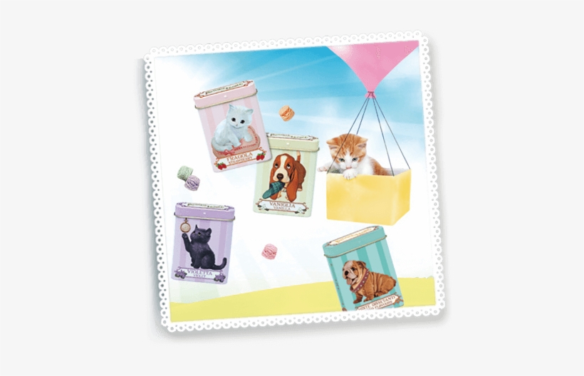 Cute Puppies Collection - Leone Pastiglie Cute Puppies, transparent png #3998605