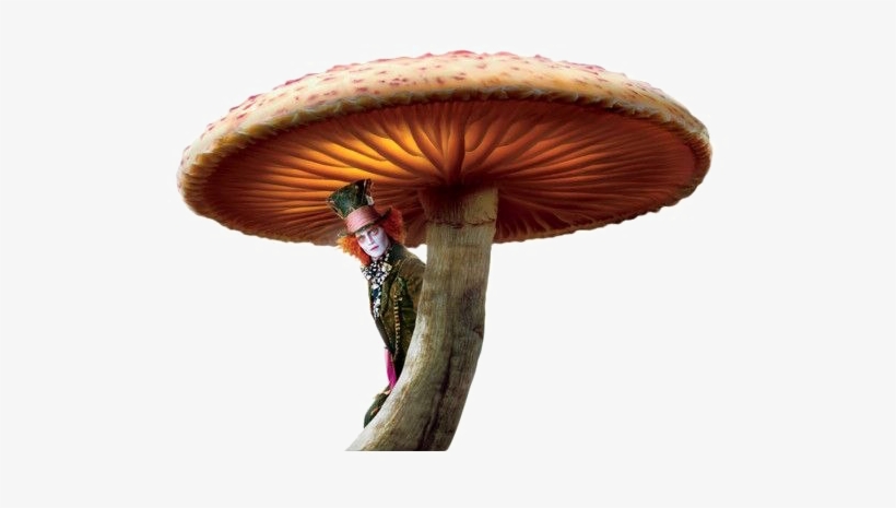 Toadstool Png Image - Alice In Wonderland Movie Png, transparent png #3999207