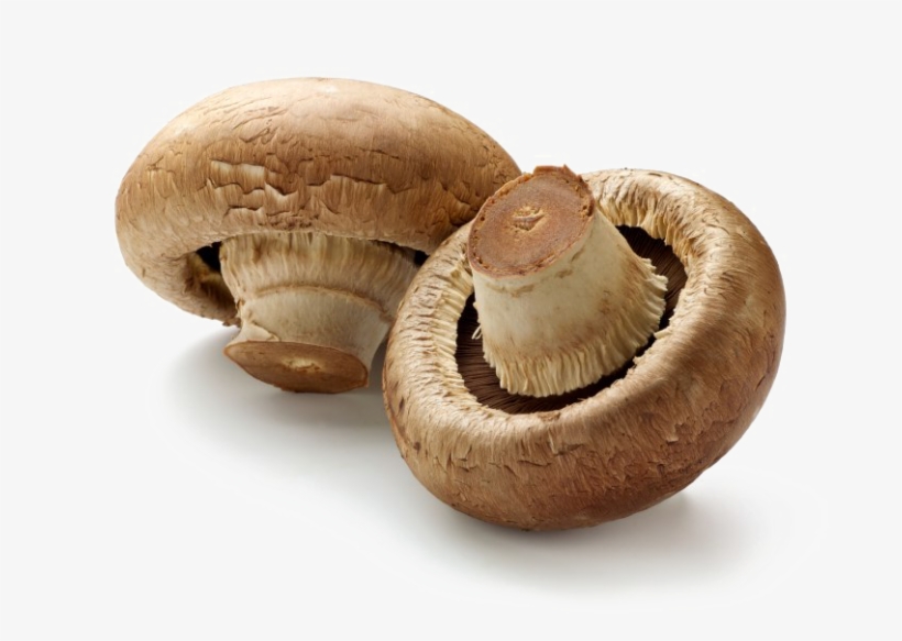 Toadstool Png Download Image - Brown Mushrooms, transparent png #3999883