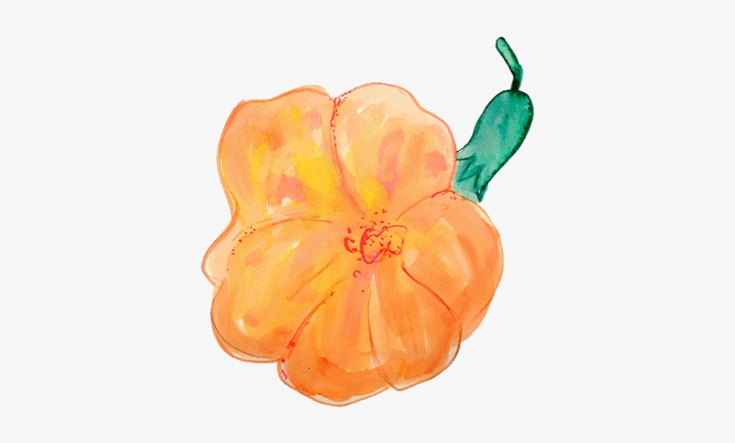 Thank You - Lily, transparent png #40219