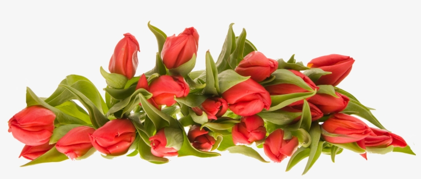 Bunch Of Flowers Picture Free / Bunch Of Parrot Style Tulips A Royalty