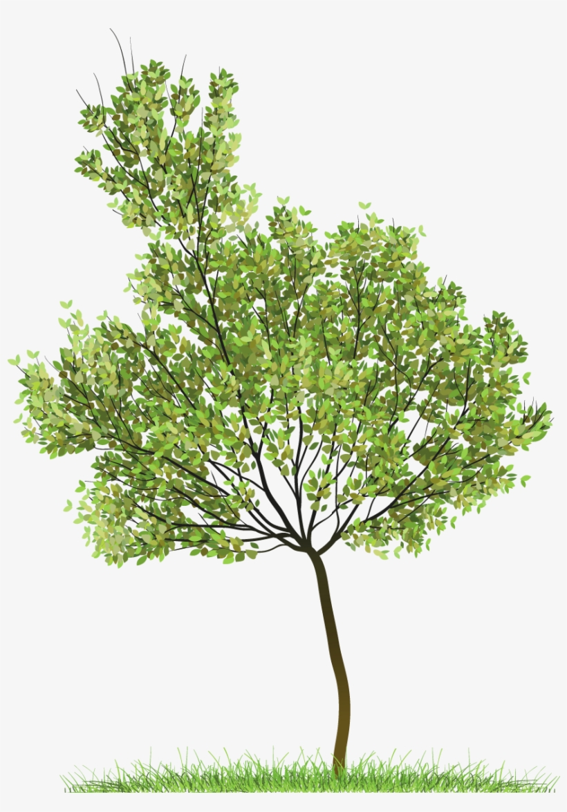 Transparent Green Tree Png Clipart - Tree Png, transparent png #40817