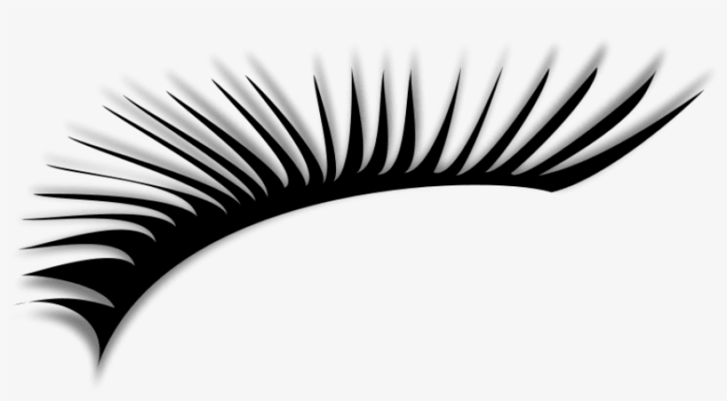 Eyelash - Eye Lashes Clipart, transparent png #40999
