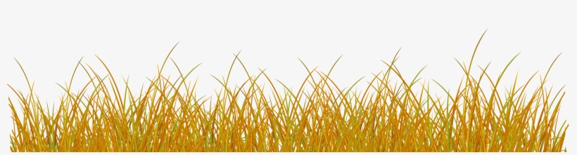 Grass Png, transparent png #41078