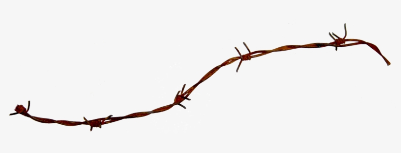 Barbed Wire Png - Barbed Wire, transparent png #41108