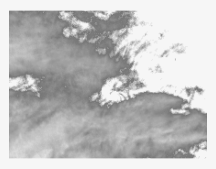 Monochrome, transparent png #41129