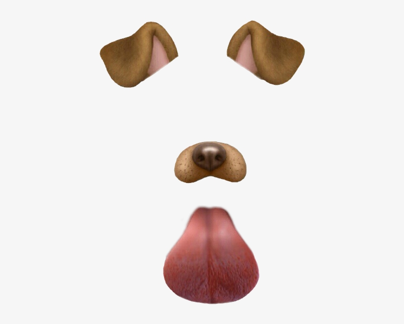 Snapchat Dog Filter - Snapchat Dog Filter Transparent, transparent png #41150